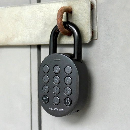 Padlock Door 2