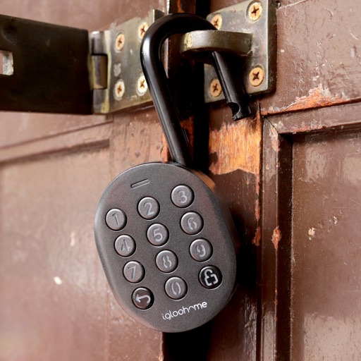 Padlock Door